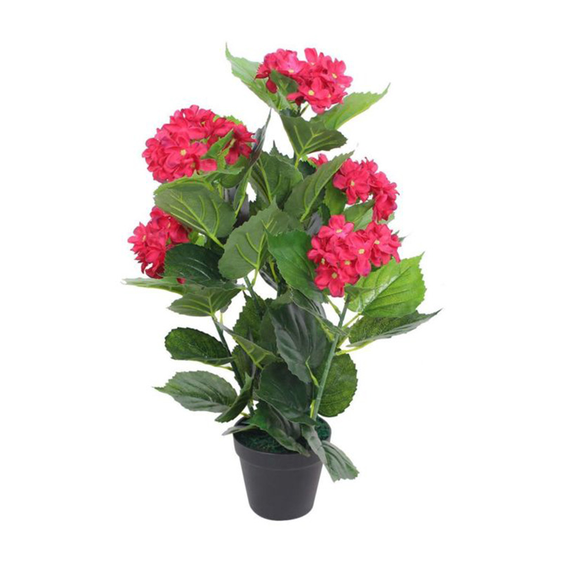 HORTENSIA FLEUR ROUGE