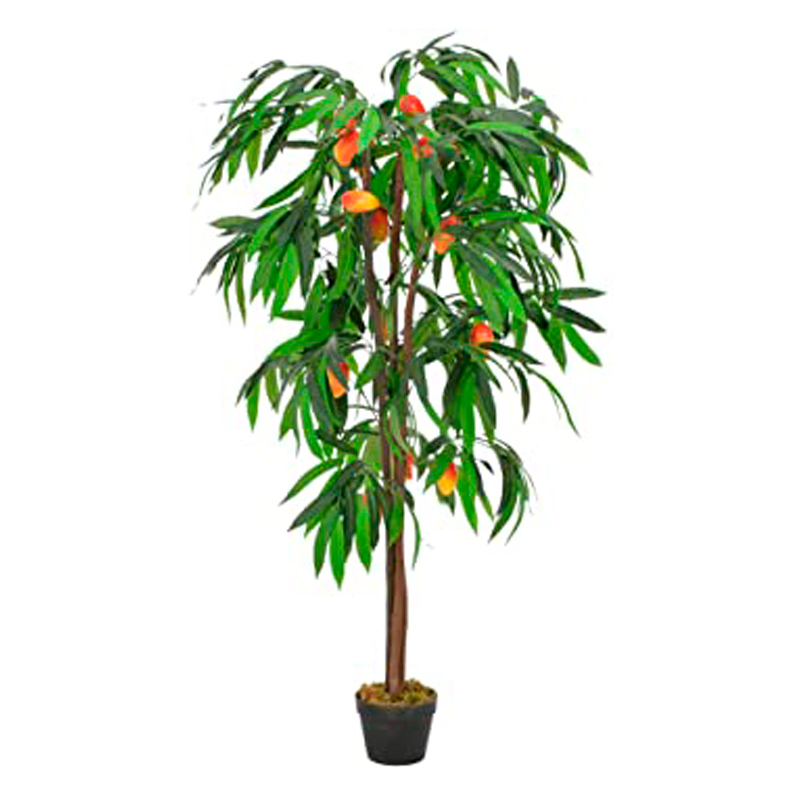 MANGUE